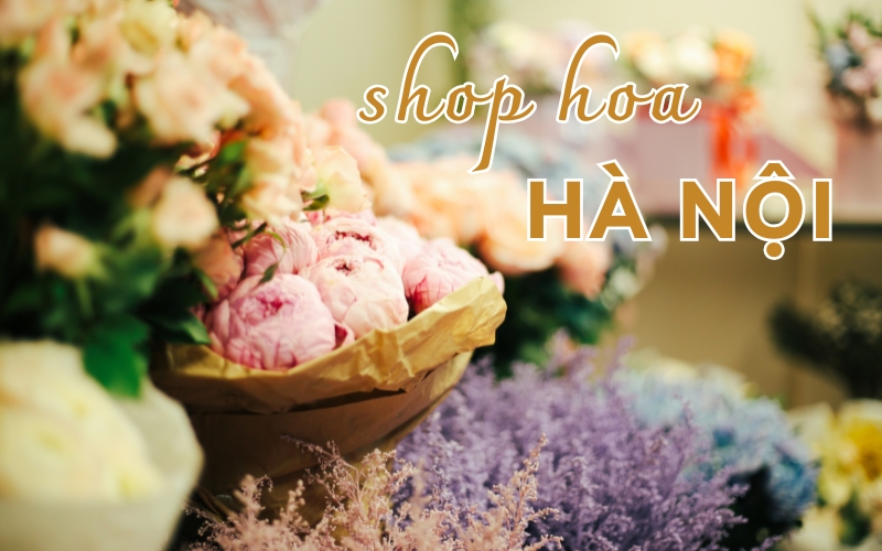 shop hoa hà nội